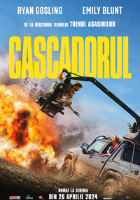 Poster Cascadorul - 4K