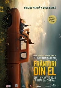 Poster Franturi din el