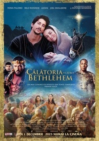Poster Călătoria către Bethlehem - 4K